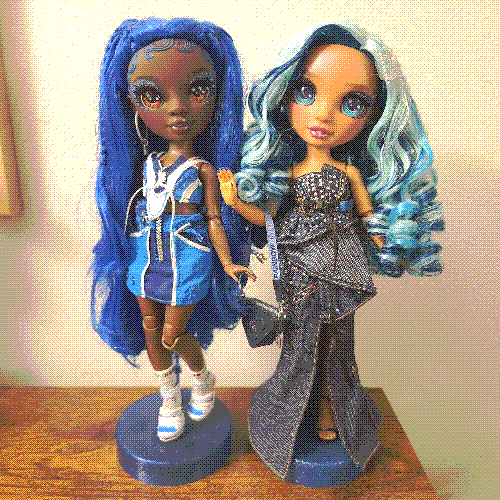 photograph of a shelf of two rainbow high dolls