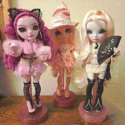 photograph of a shelf of three rainbow high dolls