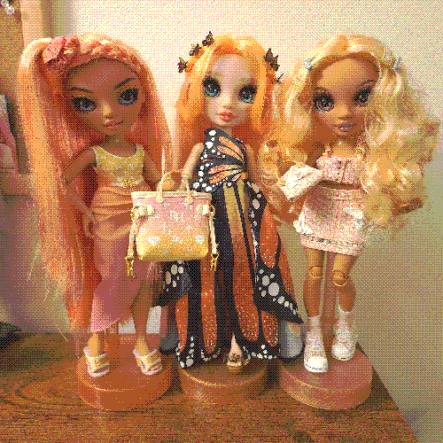 photograph of a shelf of three rainbow high dolls