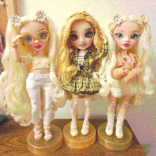 photograph of a shelf of three rainbow high dolls